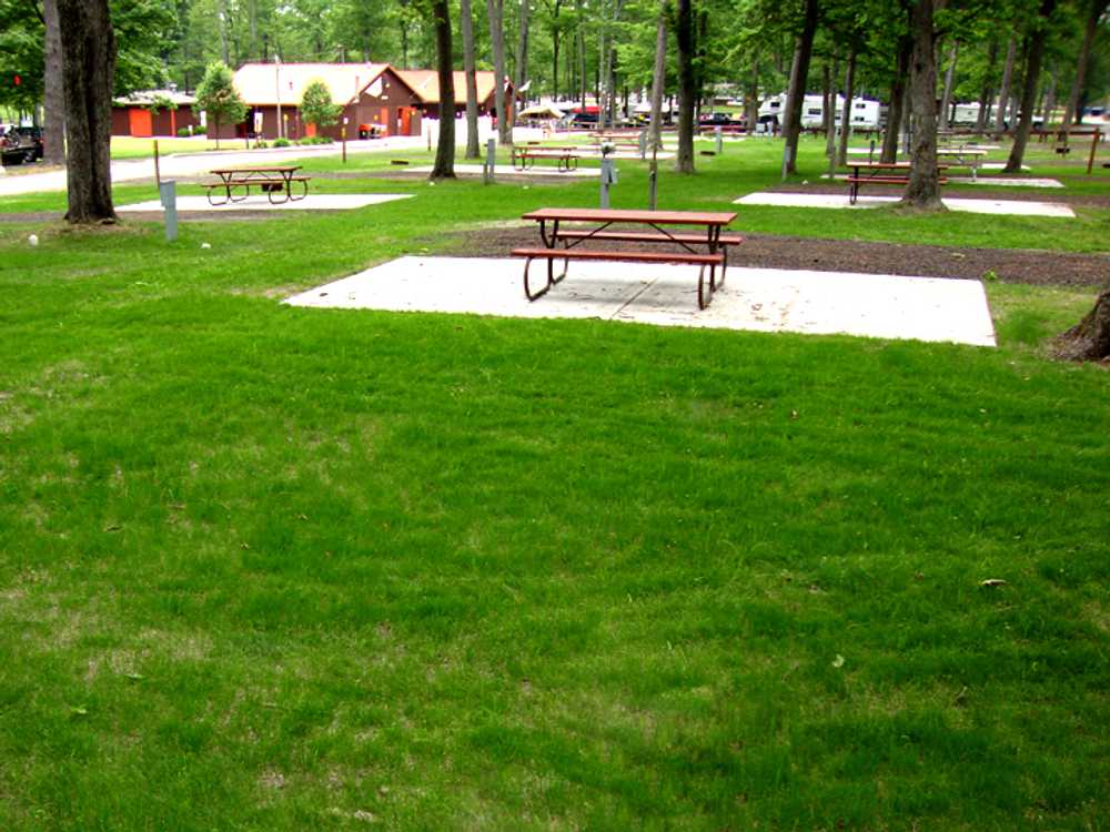 Park Image 2