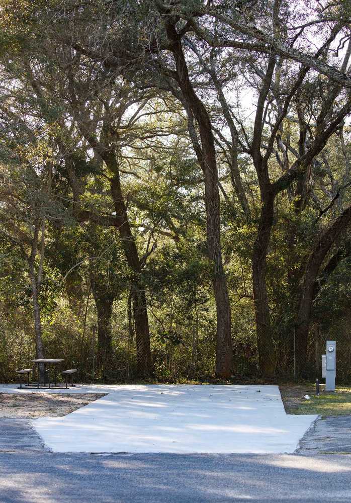 Forest Grove RV Park - Photo 3