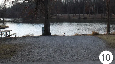 Ash RV Site — image 2 of 20