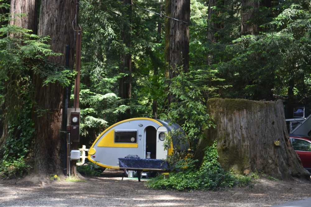 Park Image 6