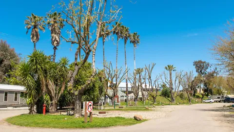 Premium Back-In RV Site — image 1 of 5
