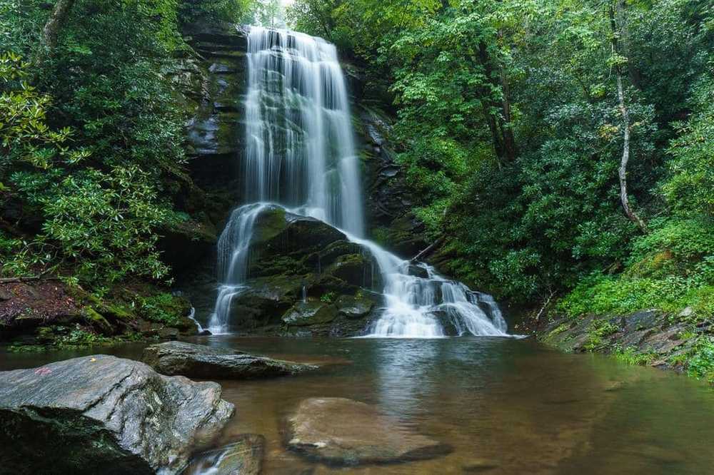 Catawba Falls Campground - Photo 2
