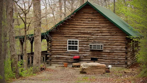 Cabin sleeps 10-13 — image 1 of 1