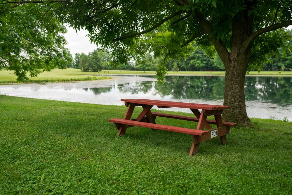 Wildwood Outdoor Escape - Main Photo