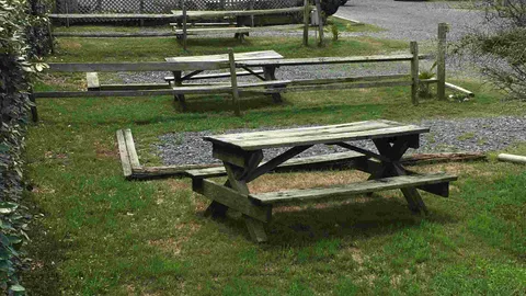 Standard RV Site — image 7 of 7