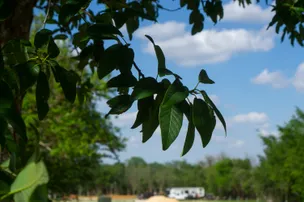 Westbrook RV & Tiny Home Park – photo 5