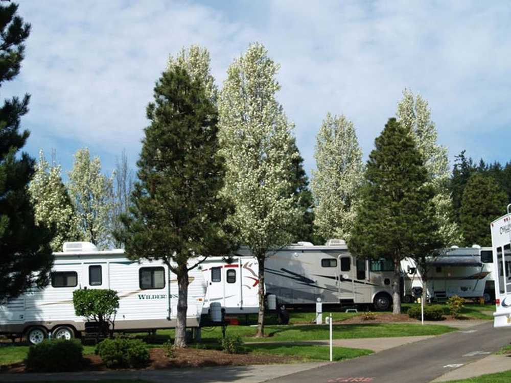 Sun Outdoors Portland South - Photo 5