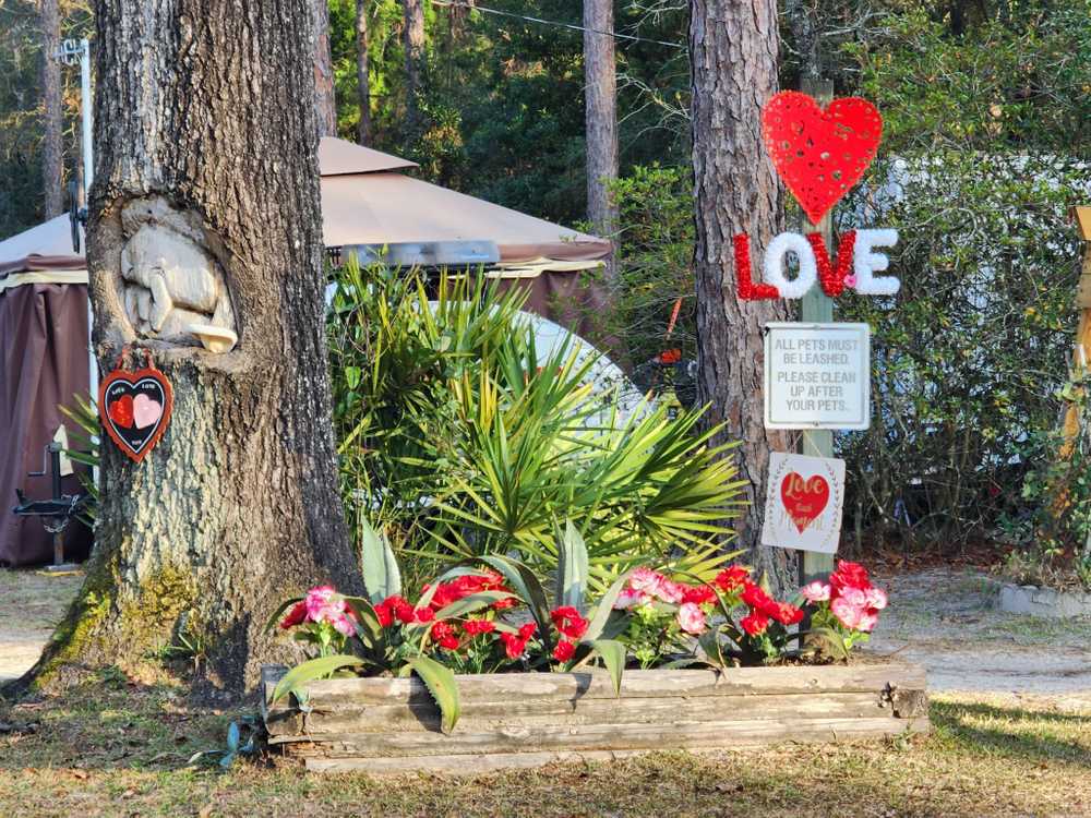 Old Town Campground (Age Restricted 55+) - Photo 5