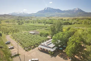 The Campground at Big B's Delicious Orchards – photo 2