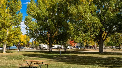 Standard Full - Hookup Pull In RV Site — image 2 of 4
