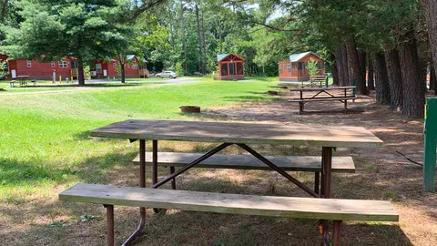 Primitive Tent Site — image 2 of 5