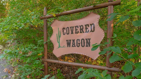 Covered Wagon — image 2 of 13