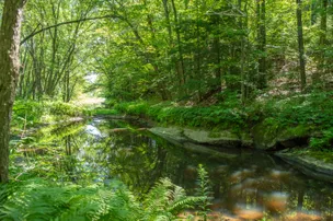 Timberland Campground – photo 4