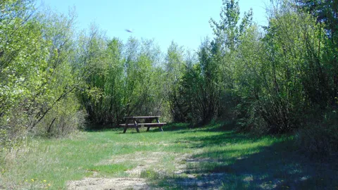 Unserviced Campsite — image 6 of 6