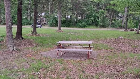 Tent Site (Primitive) — image 4 of 4