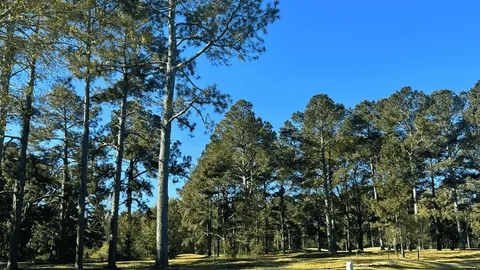 Fairway View FHU Back-In — image 9 of 9