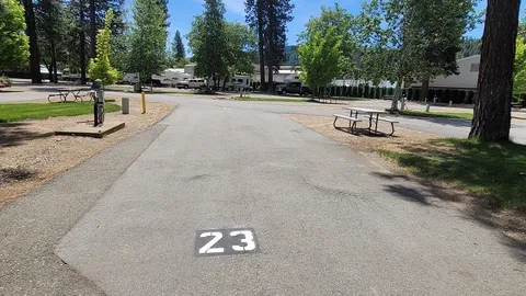 Double Site/Buddy Site — image 5 of 5