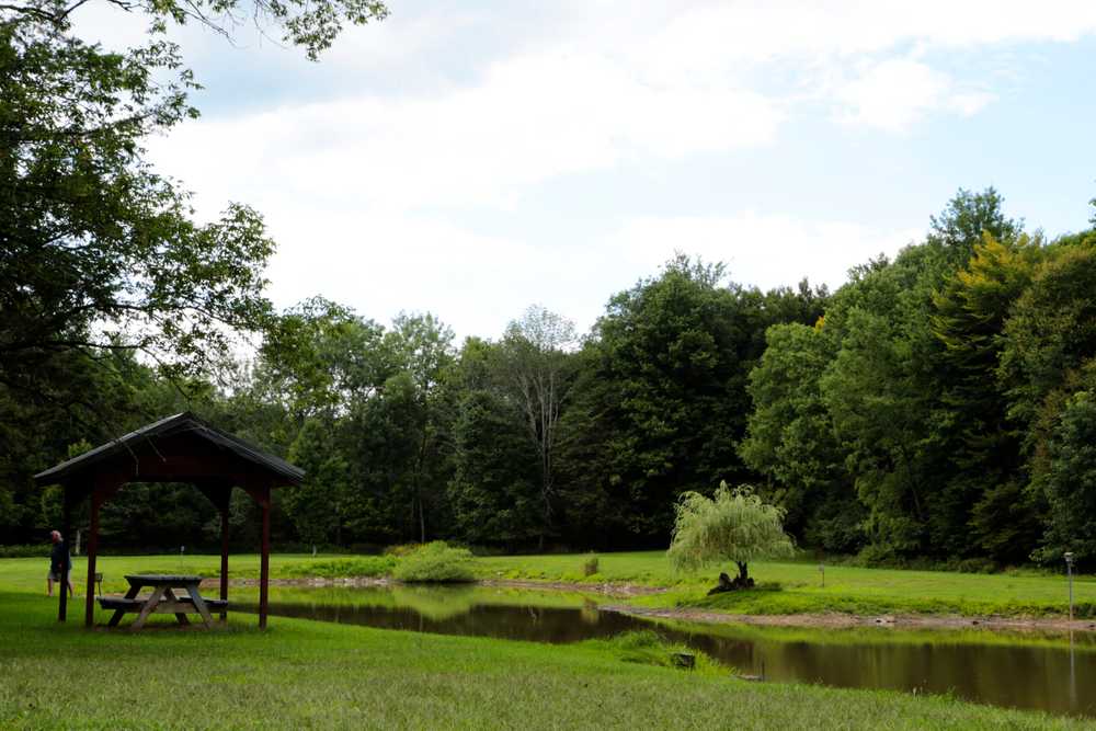 Bison Trace Luxury Camping - Photo 4