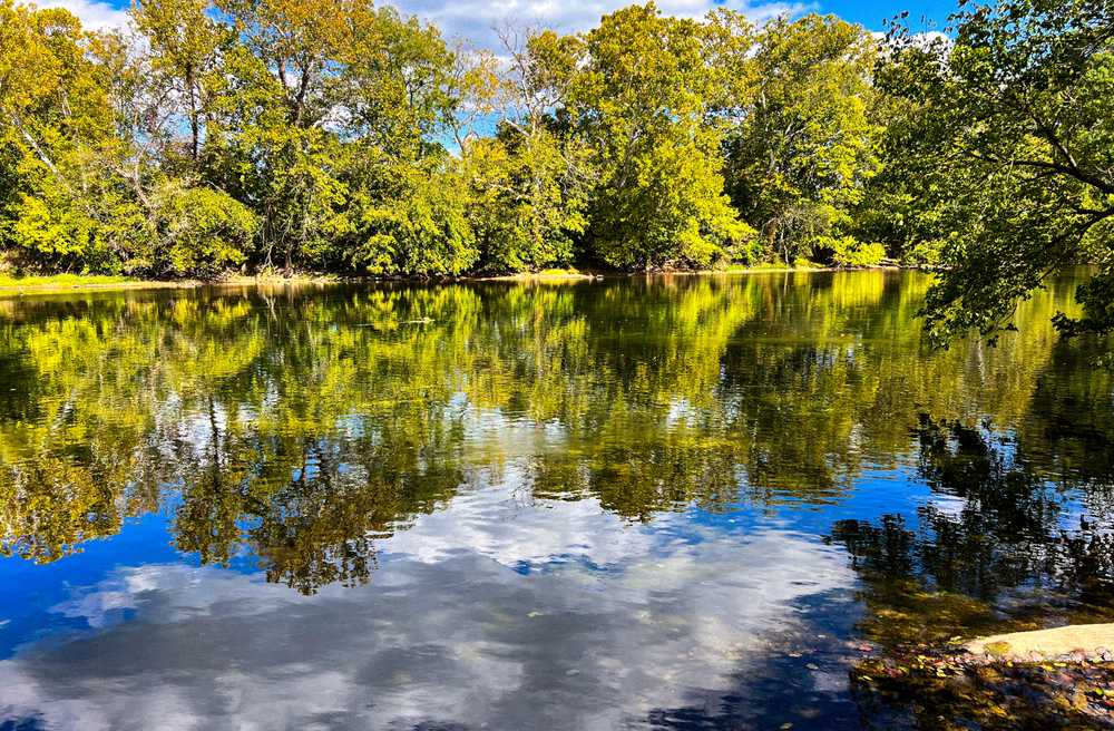 Luray RV Resort on Shenandoah River, Luray, Virginia - Photo 3