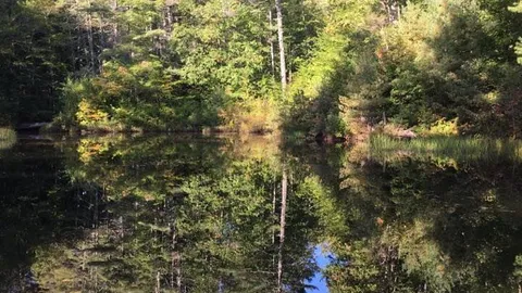 Pond side Water + Electric Tent Site — image 2 of 2