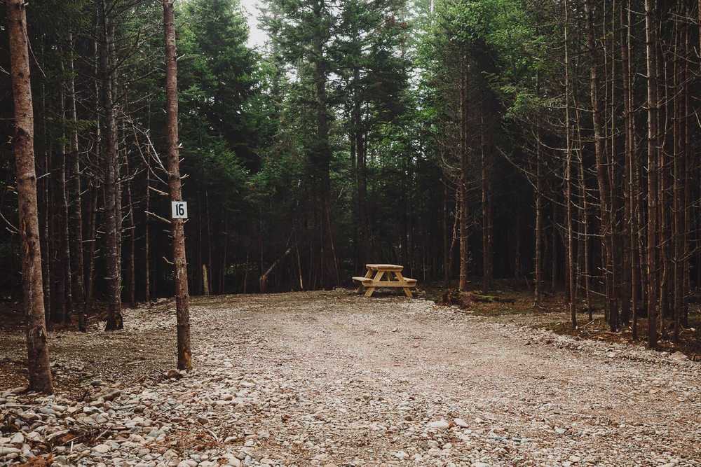 Park Image 5