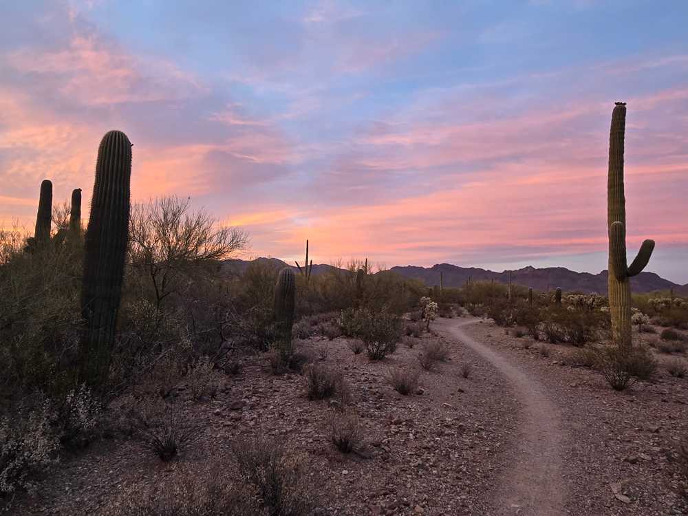Park Image 6