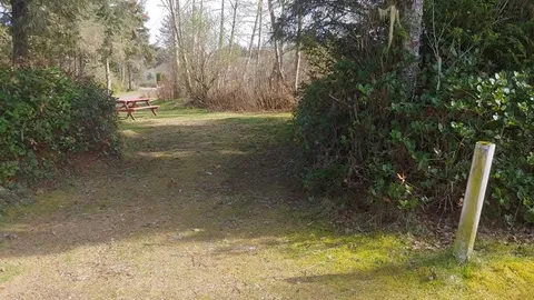 Un-serviced Wood Land Tent Sites (69-70, 99-104) — image 8 of 8