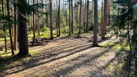 WOODED SITE 20 — image 2 of 4