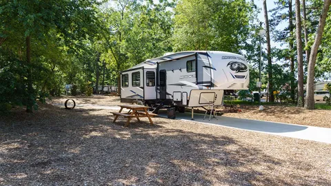 Red Carpet Pull-Thru RV Site — image 2 of 7