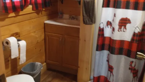 Large Cabin — image 2 of 7