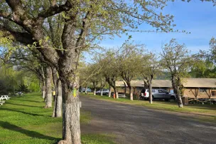 The Oasis Campground – photo 2