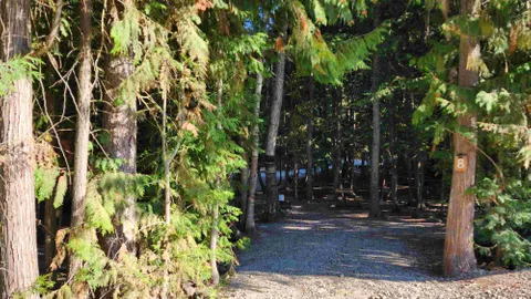 15 Amp RV Site — image 2 of 3