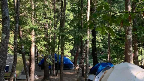 Wilderness Tent Site — image 1 of 5