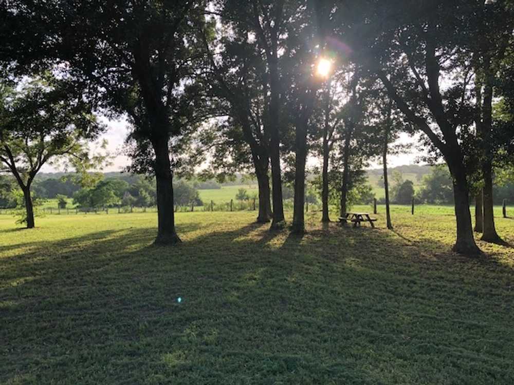 Park Image 10