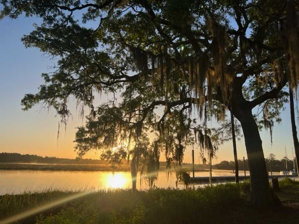 Belle Bluff Island Campground