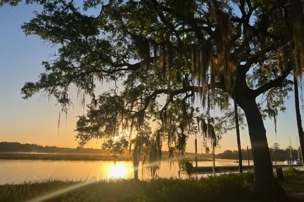Belle Bluff Island Campground – photo 1