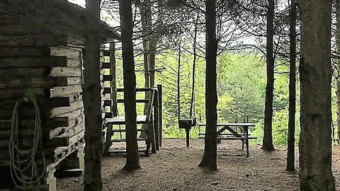 Pine Meadows Rustic Cabin (Pet Friendly) — image 1 of 6