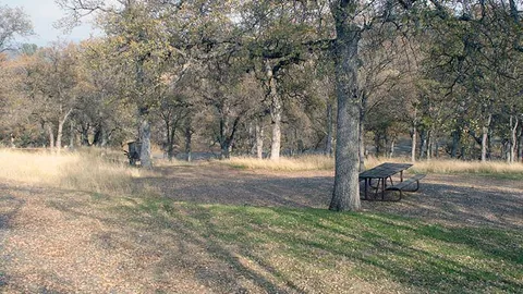 Basic Site — image 2 of 7