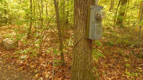 Tent Site with Electric — image 4 of 4