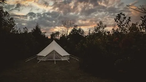 Aster Camp — image 18 of 18