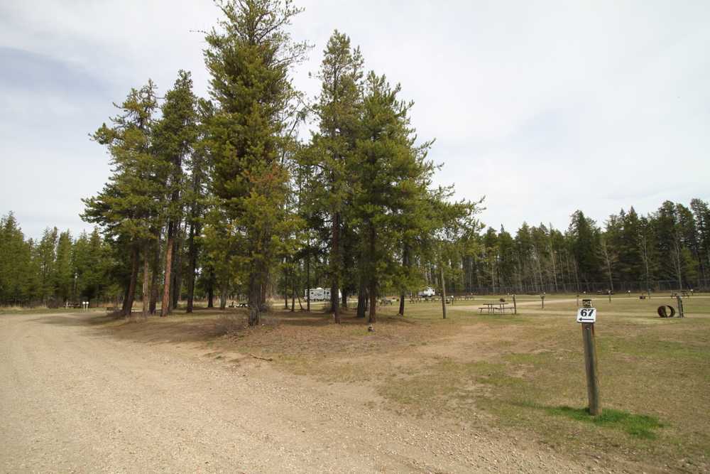 Neil's RV Campground Evergreen Park - Main Photo