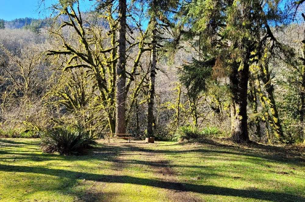 Trask River County Campground, Tillamook, Oregon - Photo 3