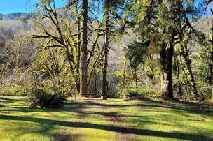 Trask River County Campground – photo 3