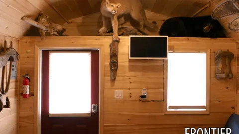 Themed Cabins — image 12 of 12