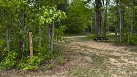 30/50 amp Pull-Through RV site — image 10 of 10