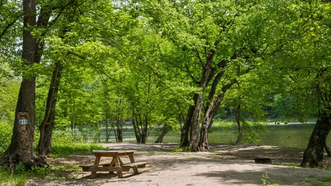 Riverfront Rustic Tent — image 2 of 2