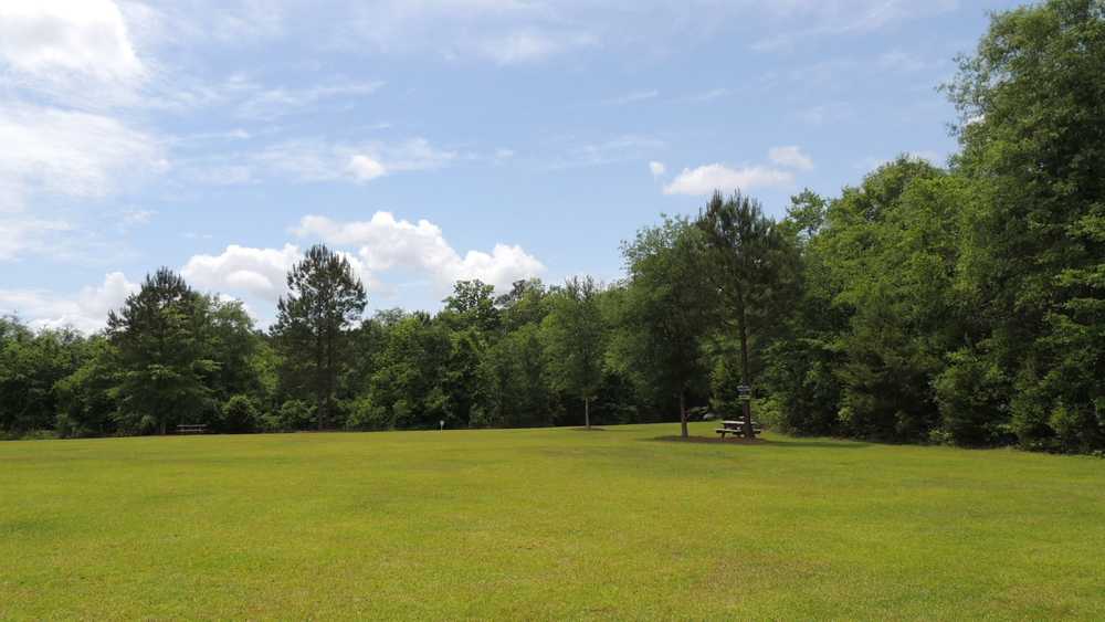 Park Image 7