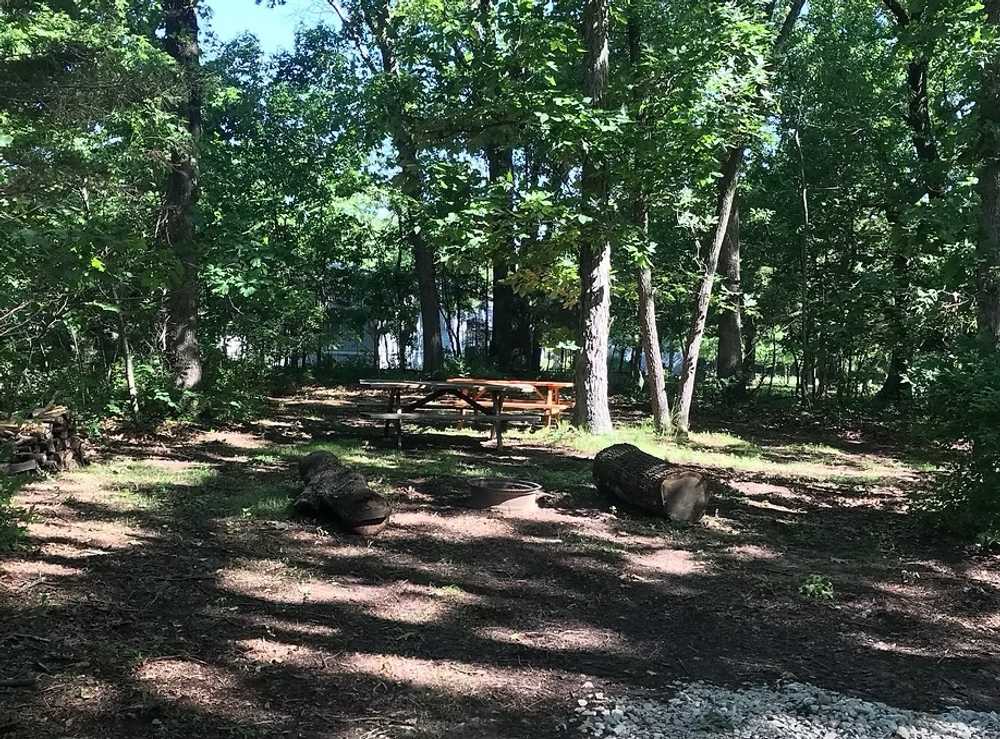 Needmore RV & Campground, Fair Play, Missouri - Photo 4