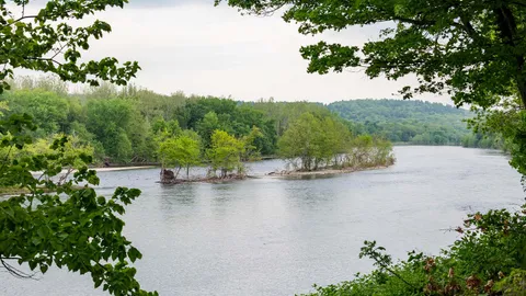 Waterview Standard RV/Tent Site — image 2 of 4