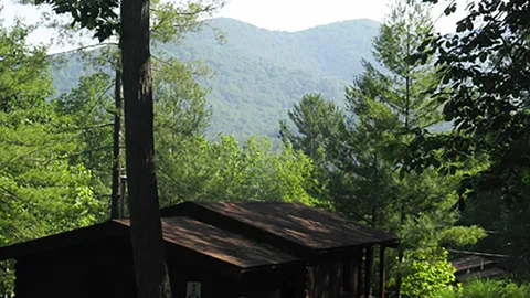 Skyline Cabin — image 2 of 11